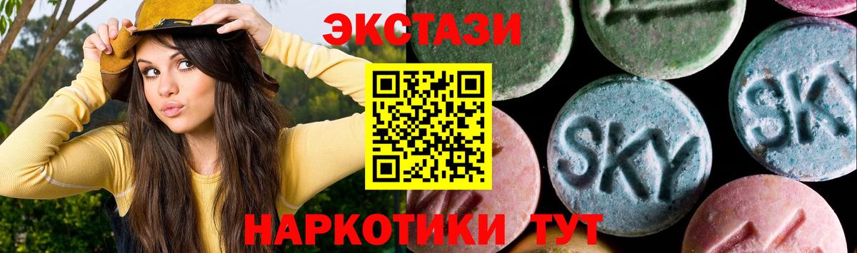 Ecstasy бентли Луга
