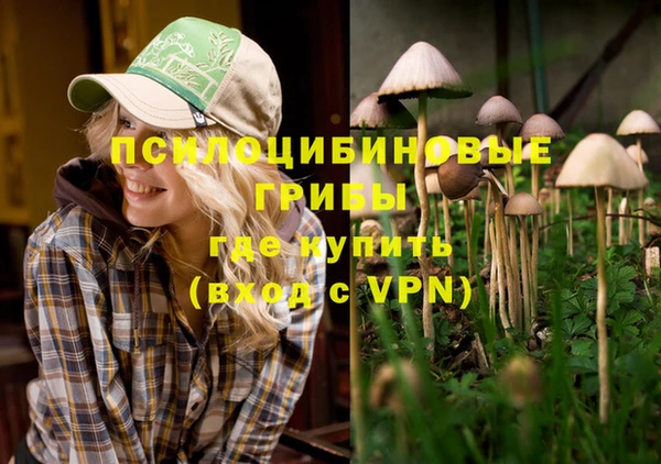 ALPHA PVP Покровск