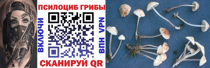 Галлюциногенные грибы мухоморы  МЕГА зеркало  Луга 