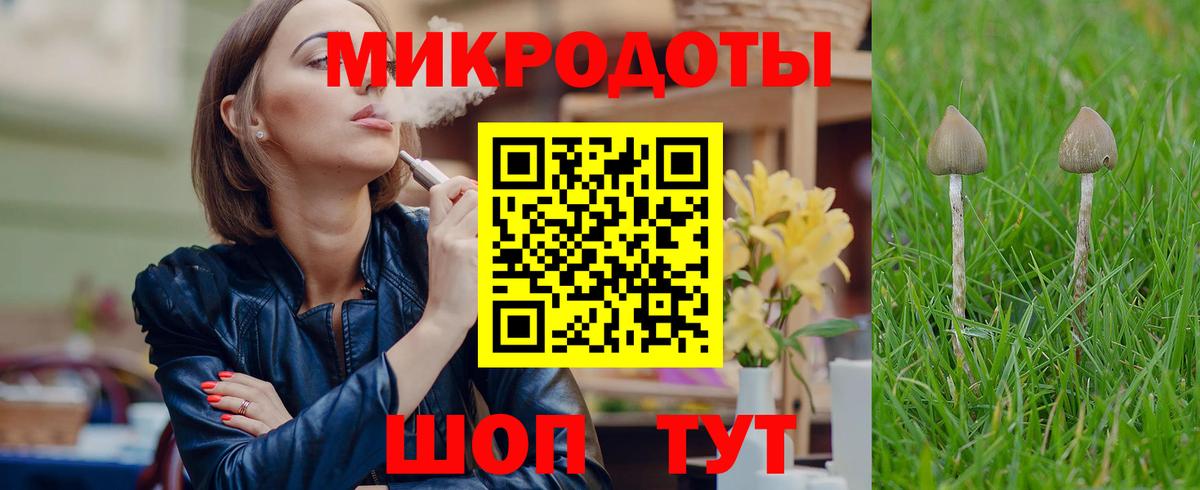 Галлюциногенные грибы MAGIC MUSHROOMS  Вход с VPN  Луга 
